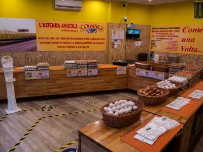 L'interno ha un arredamento essenziale, con dei banconi in legno disposti a ferro di cavallo...
